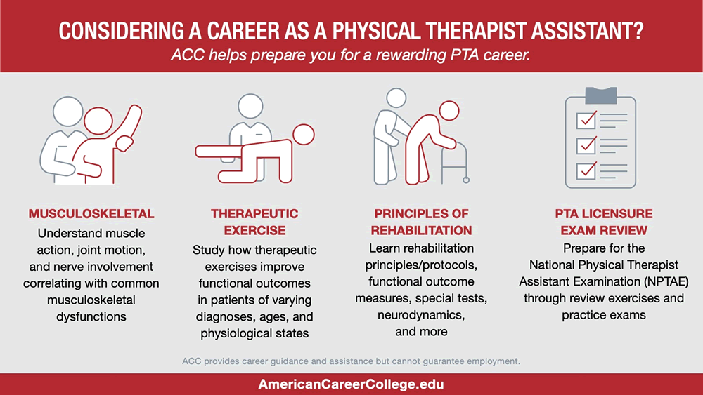 Considering a career as a PTA? Understand muscle/action/joint motion, study therapeutic exercise, learn rehabilitation principles, and prepare for the NPTAE