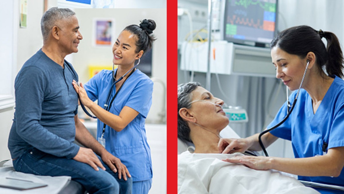 Nursing Hierarchy: Understanding the Levels of Nursing